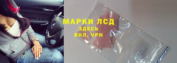 трава Надым