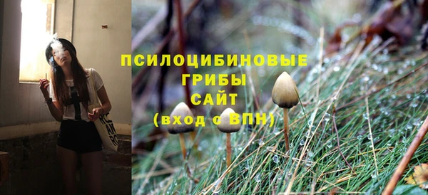 экстази Нея