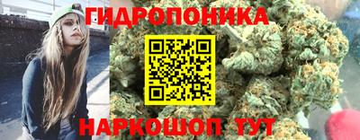 мдпв Кандалакша
