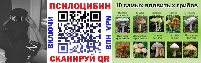 Галлюциногенные грибы Cubensis  Киреевск 