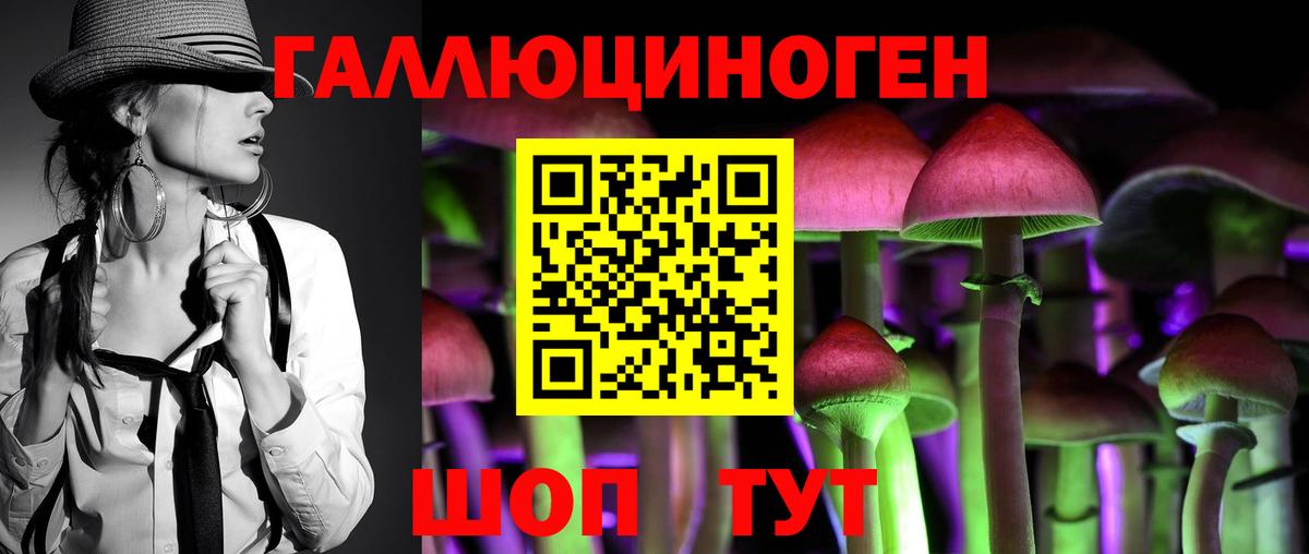 Киреевск  Галлюциногенные грибы GOLDEN TEACHER  купить закладку  Вход с VPN  Псилоцибиновые грибы мицелий 